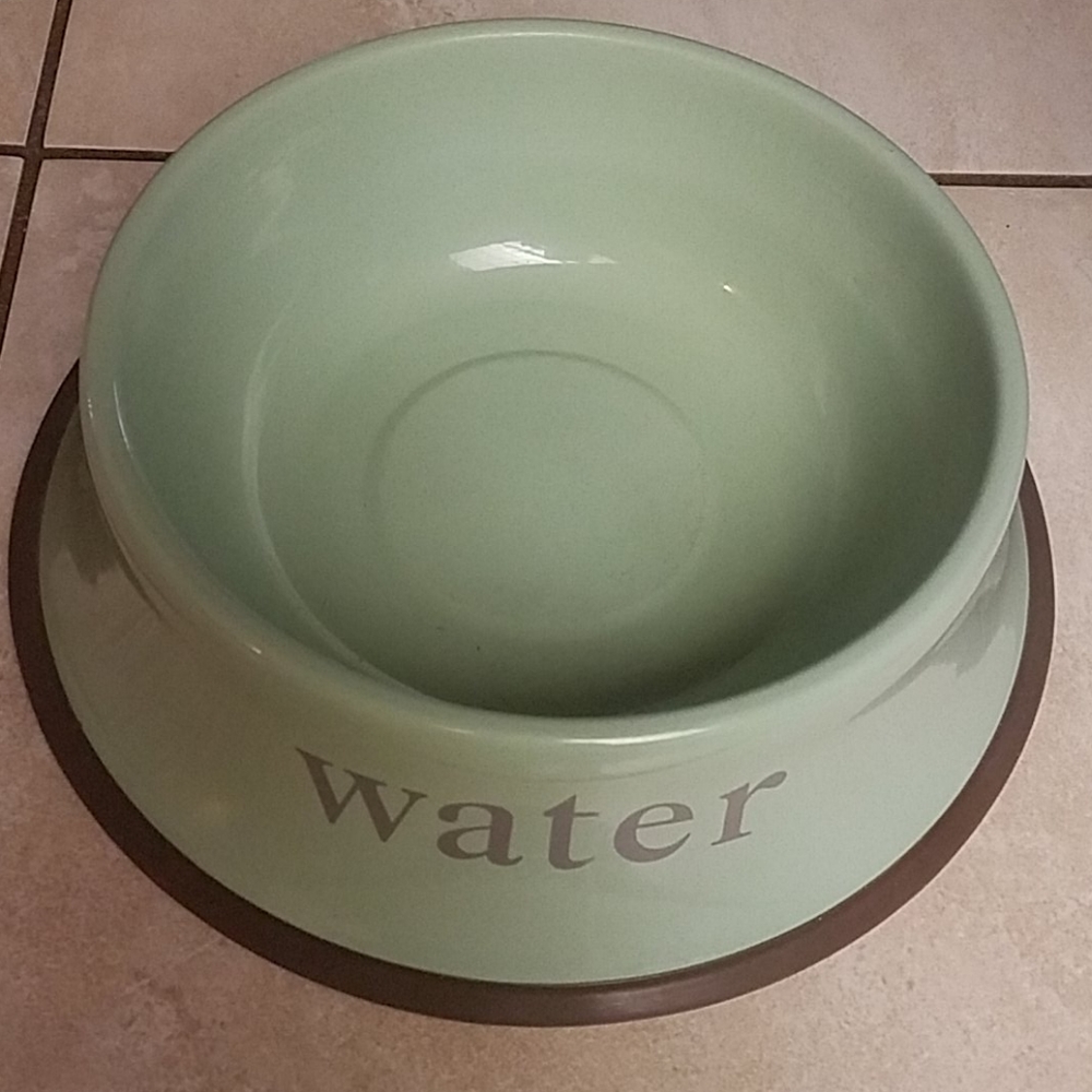 NWT Green & Brown Metal No Slip Pet Water Bowl